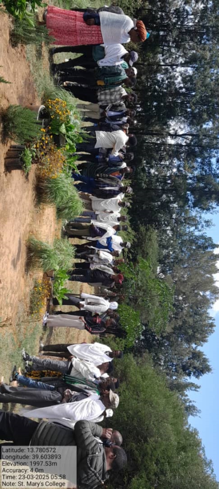 Social development programs